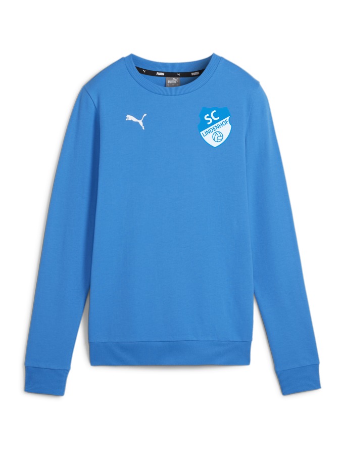 PUMA teamGOAL Casuals Crew Neck Sweatshirt Damen