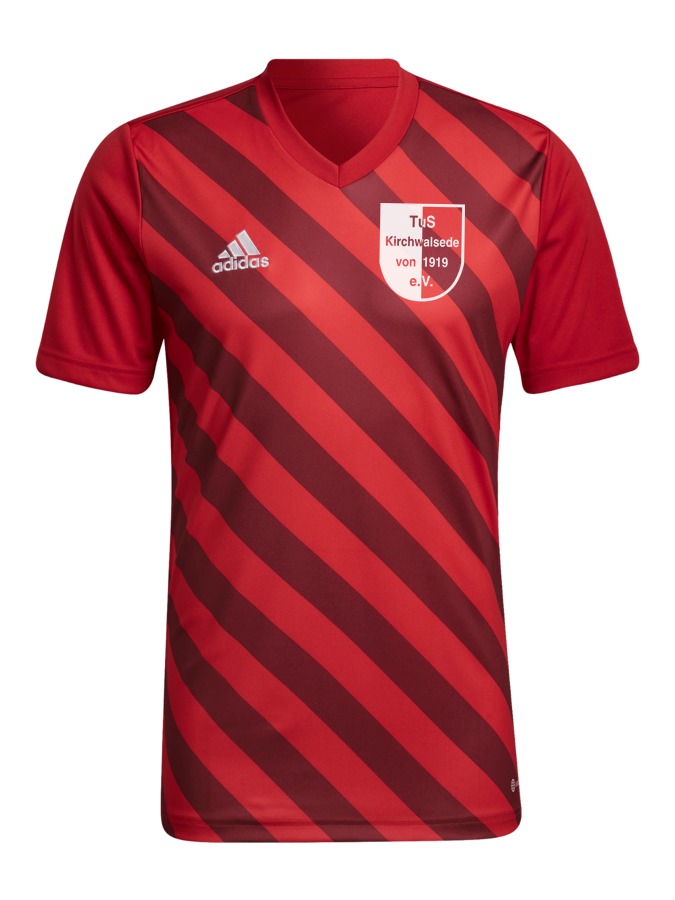 adidas Entrada 22 GFX Trikot