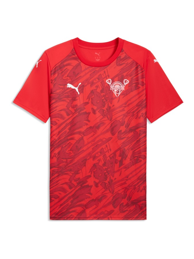 PUMA teamFINAL Graphic Trikot