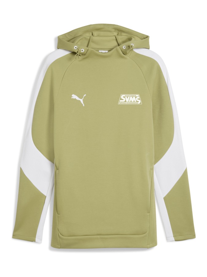 PUMA teamEVOSTRIPE Hoody