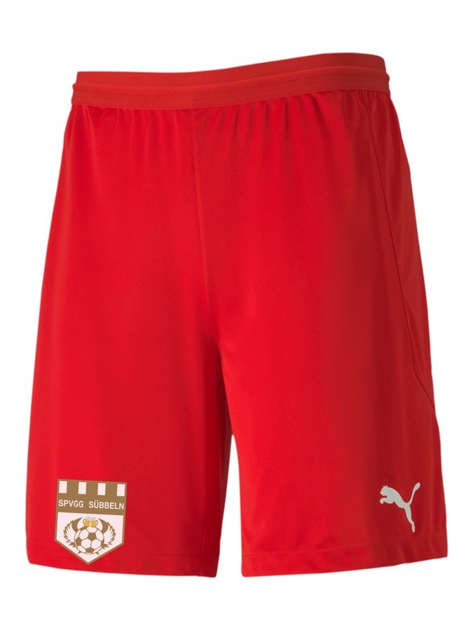 PUMA teamFINAL 21 Knit Shorts