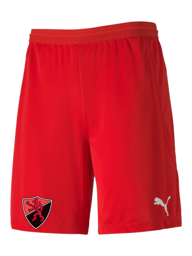 PUMA teamFINAL 21 Knit Shorts
