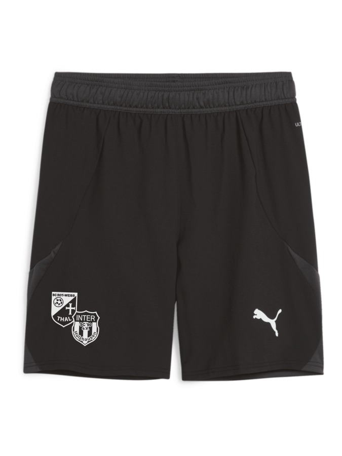 PUMA teamFINAL Shorts