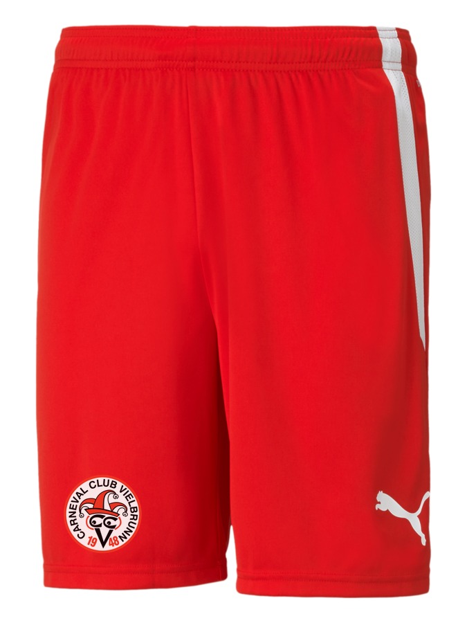 PUMA teamLIGA Shorts