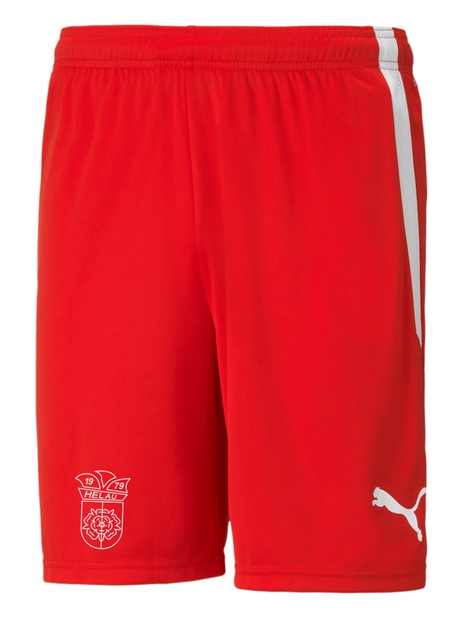 PUMA teamLIGA Shorts