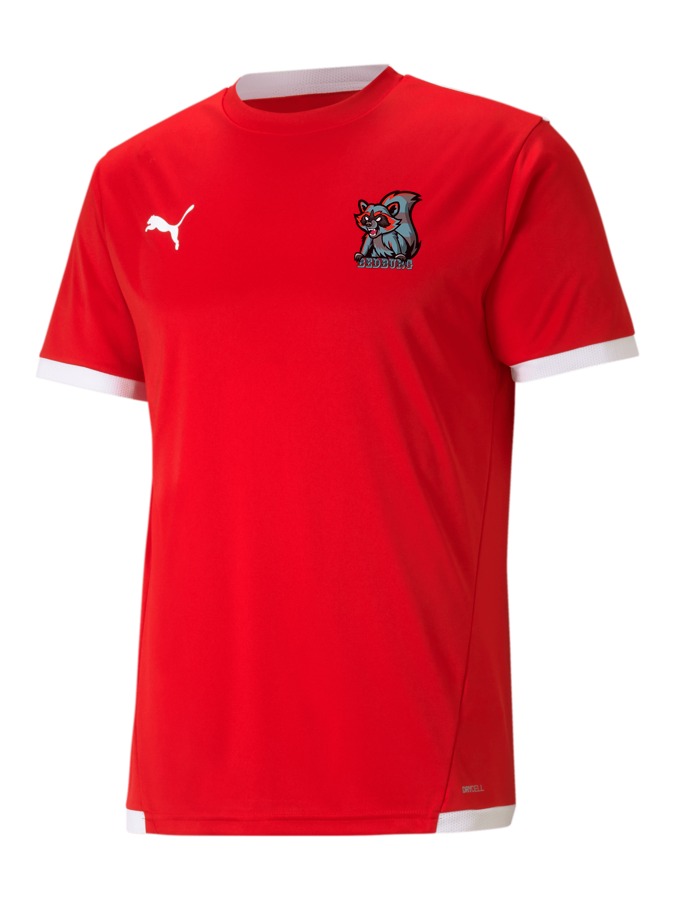 PUMA teamLIGA Trikot