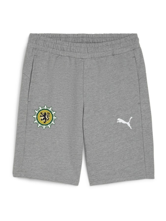 PUMA teamGOAL Casuals Shorts