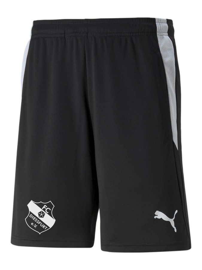 PUMA teamLIGA Referee Shorts