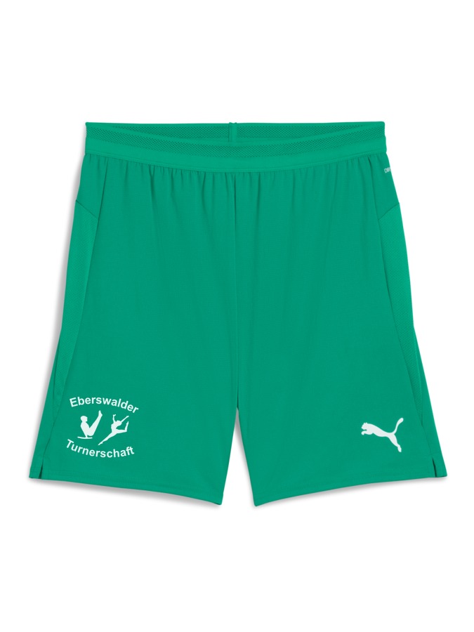 PUMA teamCUP Shorts