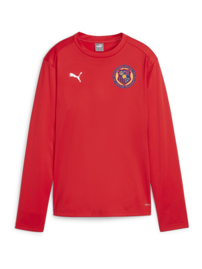 PUMA teamGOAL Training Sweatshirt Damen