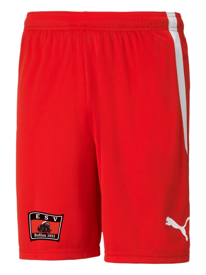 PUMA teamLIGA Shorts