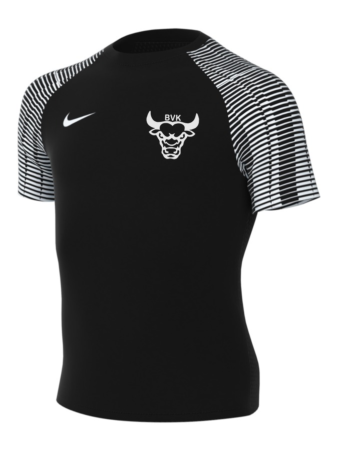 Nike Academy 22 Trikot Kinder