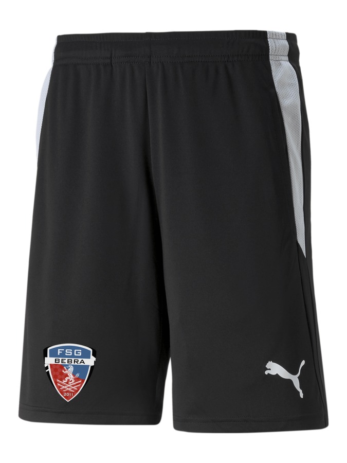 PUMA teamLIGA Referee Shorts