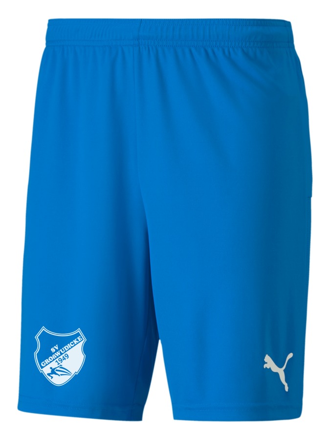 PUMA teamGOAL 23 Knit Shorts