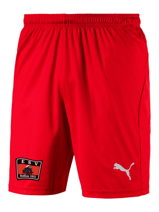 PUMA LIGA Shorts Core