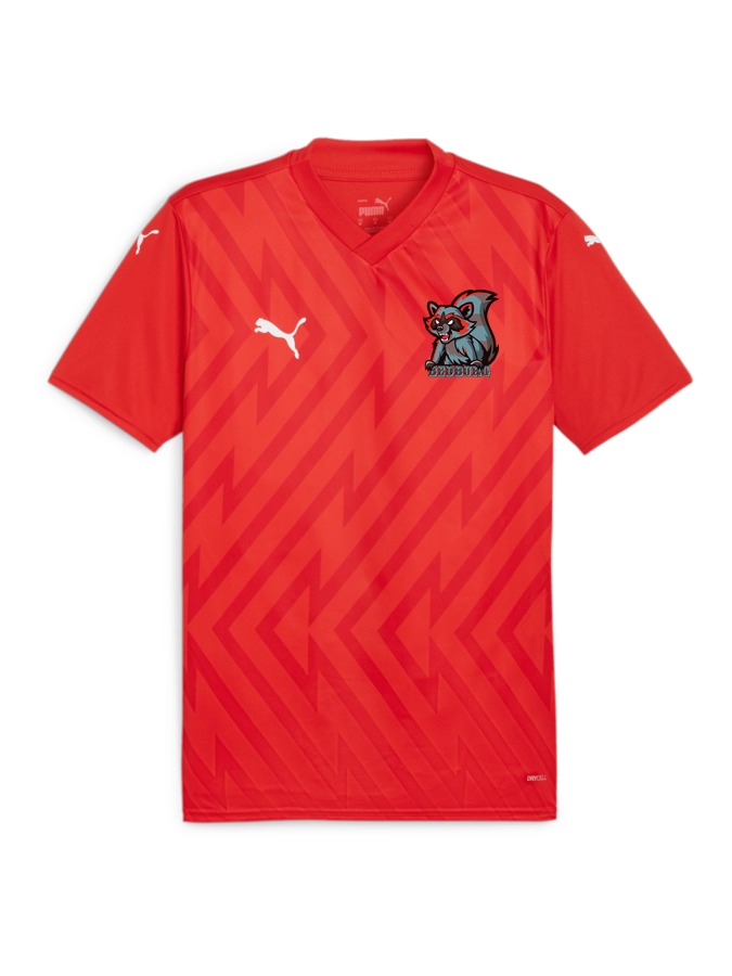 PUMA teamGLORY Trikot