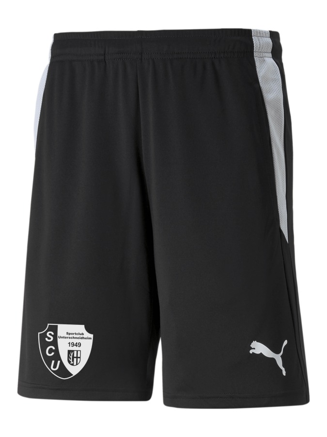 PUMA teamLIGA Referee Shorts