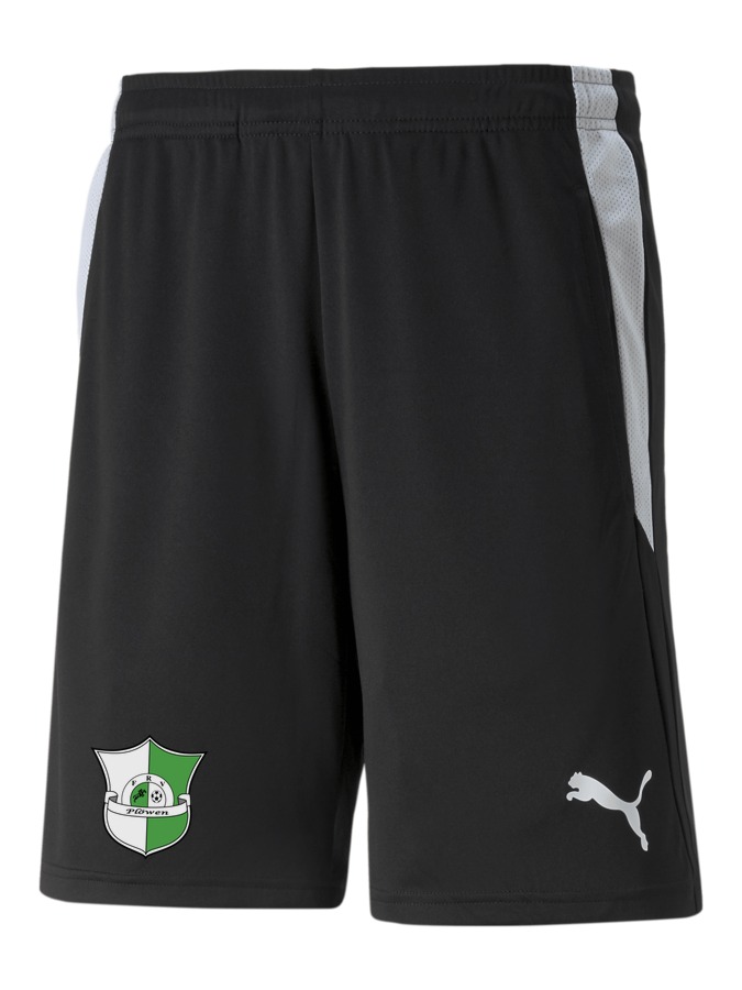 PUMA teamLIGA Referee Shorts