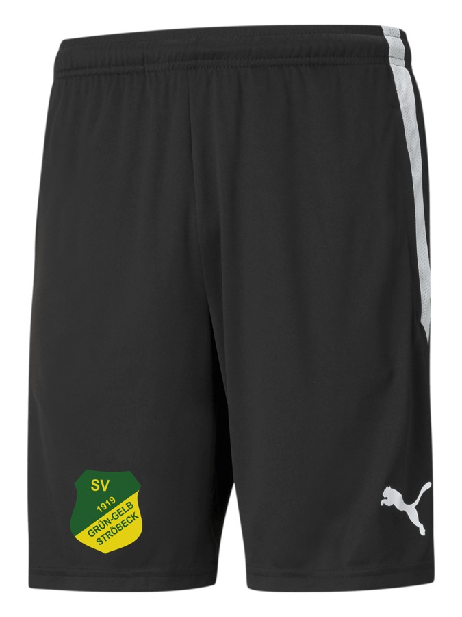 PUMA teamLIGA Training Shorts