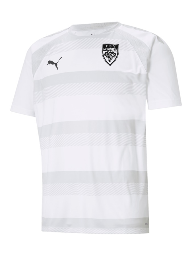 PUMA teamVISION Trikot
