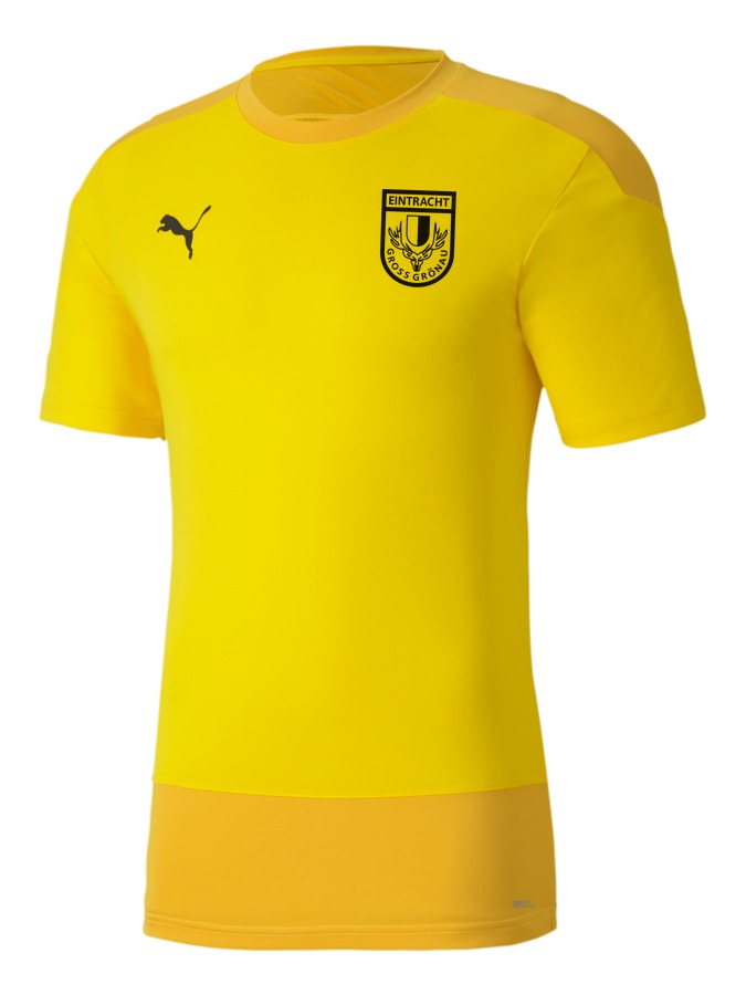 PUMA teamGOAL 23 Trainingsshirt