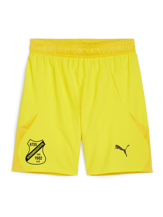 PUMA teamFINAL Shorts