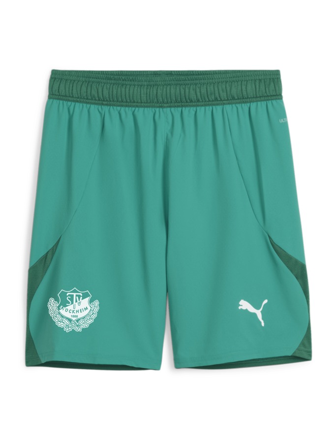PUMA teamFINAL Shorts