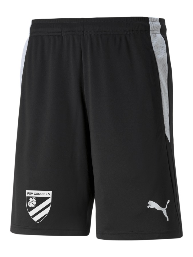 PUMA teamLIGA Referee Shorts