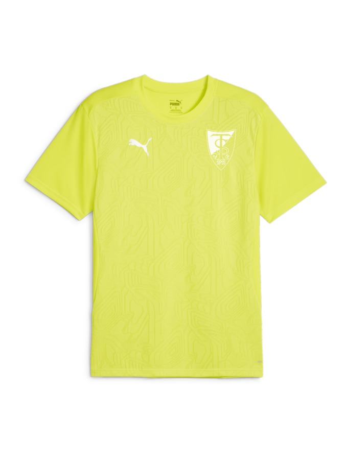 PUMA teamFINAL Trainingsshirt