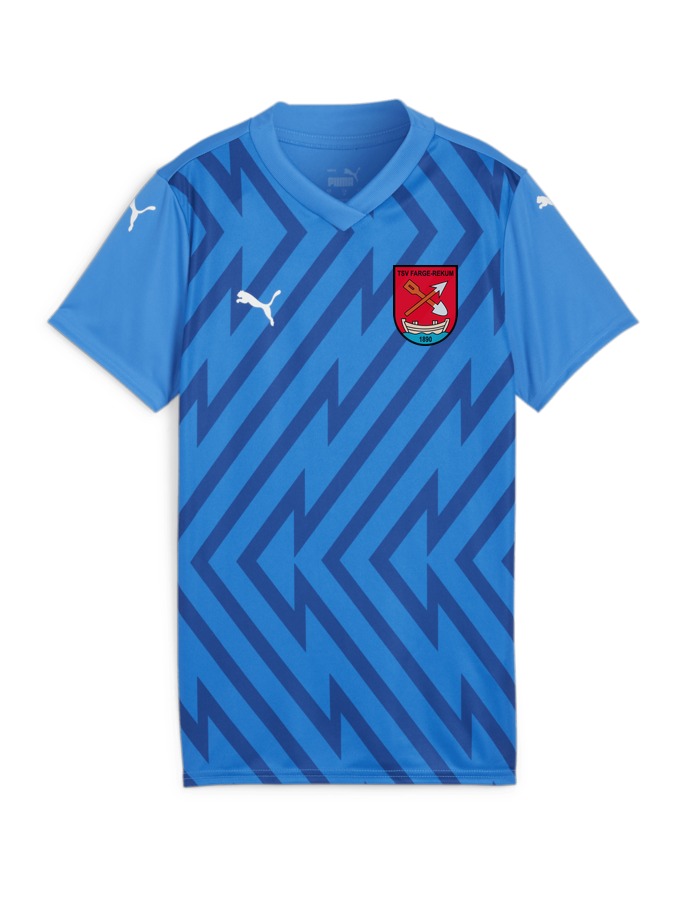 PUMA teamGLORY Trikot Damen