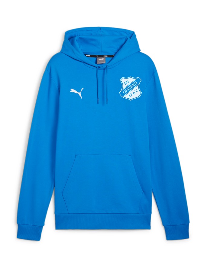 PUMA teamGOAL Casuals Hoody