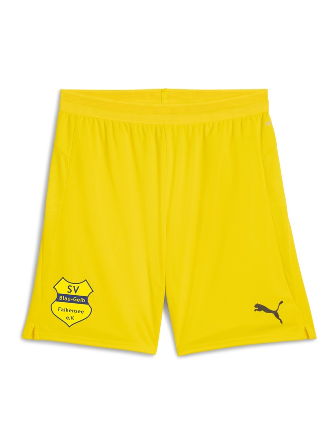 PUMA teamCUP Shorts