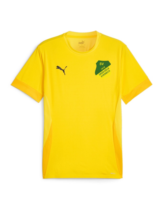 PUMA teamGOAL Matchday Trikot