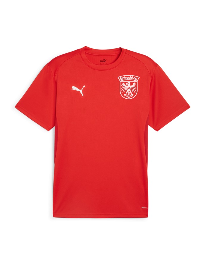 PUMA teamGOAL Trikot