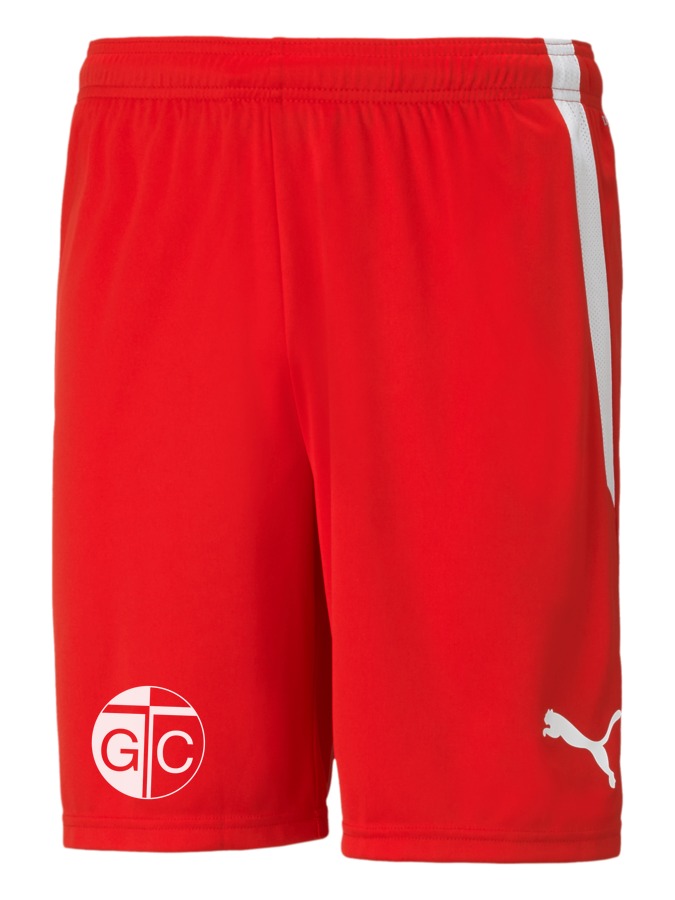 PUMA teamLIGA Shorts