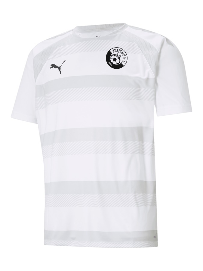 PUMA teamVISION Trikot