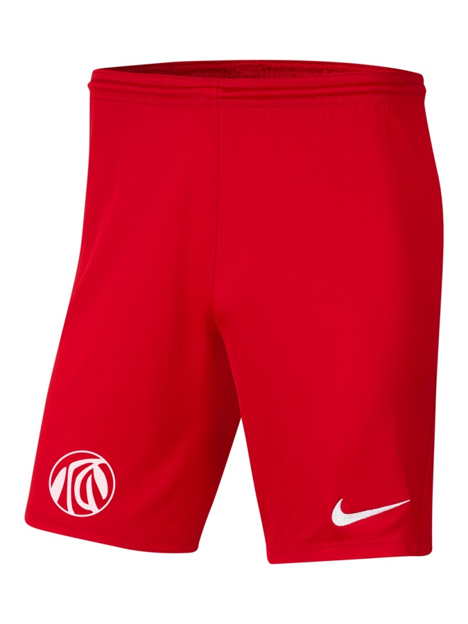 Nike Park 3 Knit Shorts