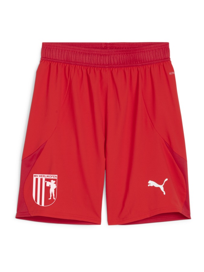 PUMA teamFINAL Shorts
