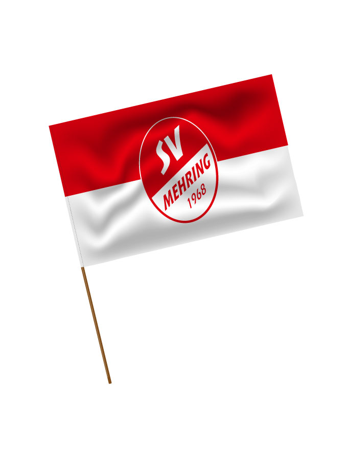 Stadionfahne Logo