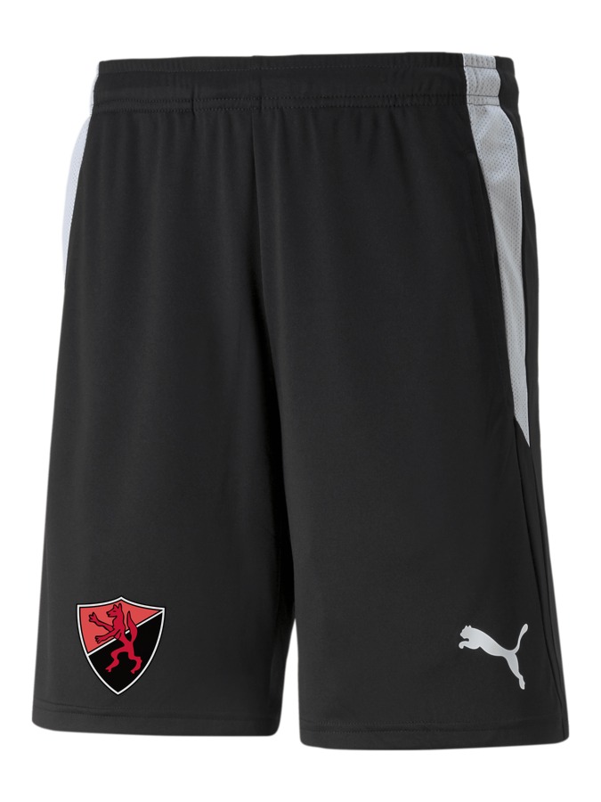 PUMA teamLIGA Referee Shorts