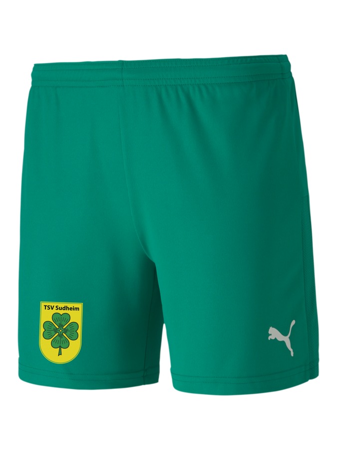 PUMA teamGOAL 23 Knit Shorts Damen