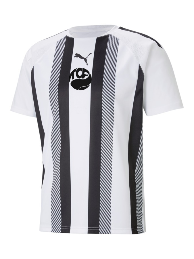PUMA teamLIGA Striped Trikot