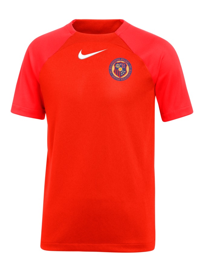 Nike Academy Pro 22 Shirt Kinder