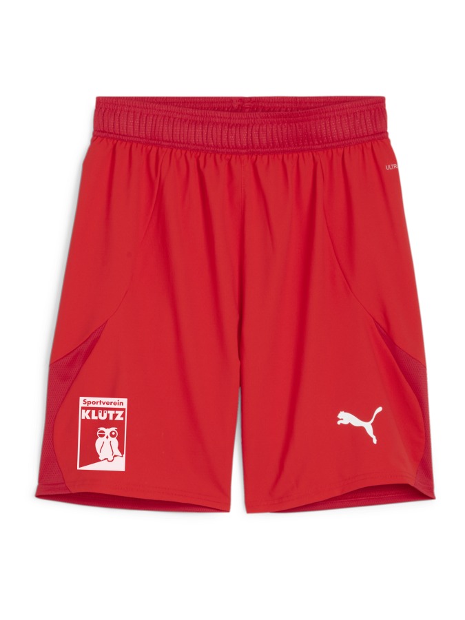 PUMA teamFINAL Shorts