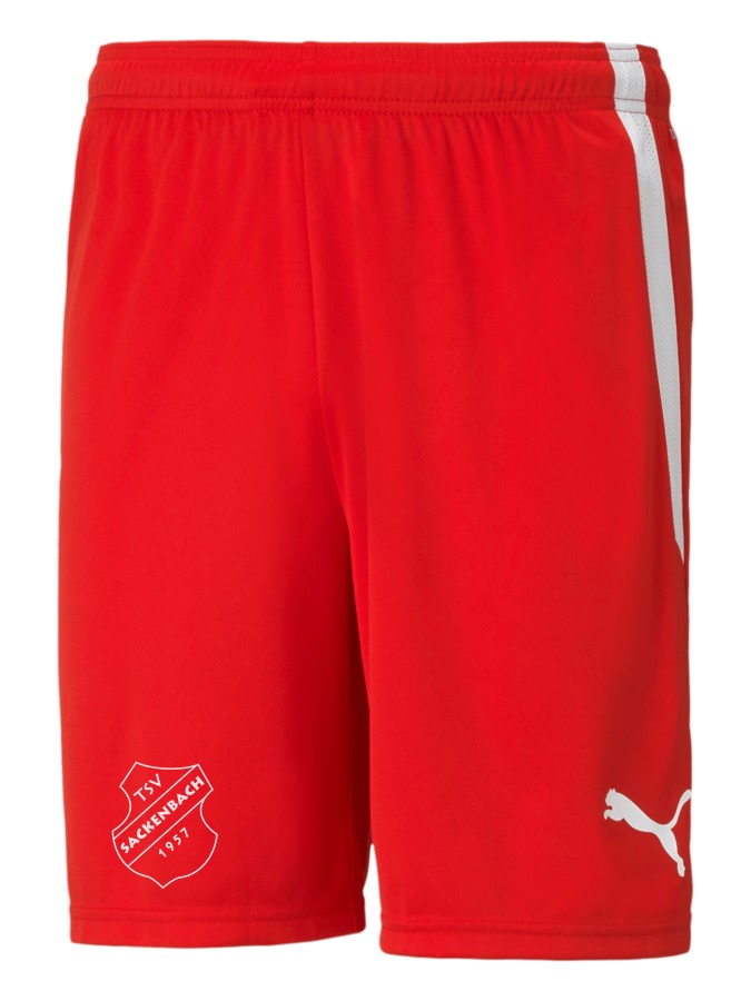 PUMA teamLIGA Shorts