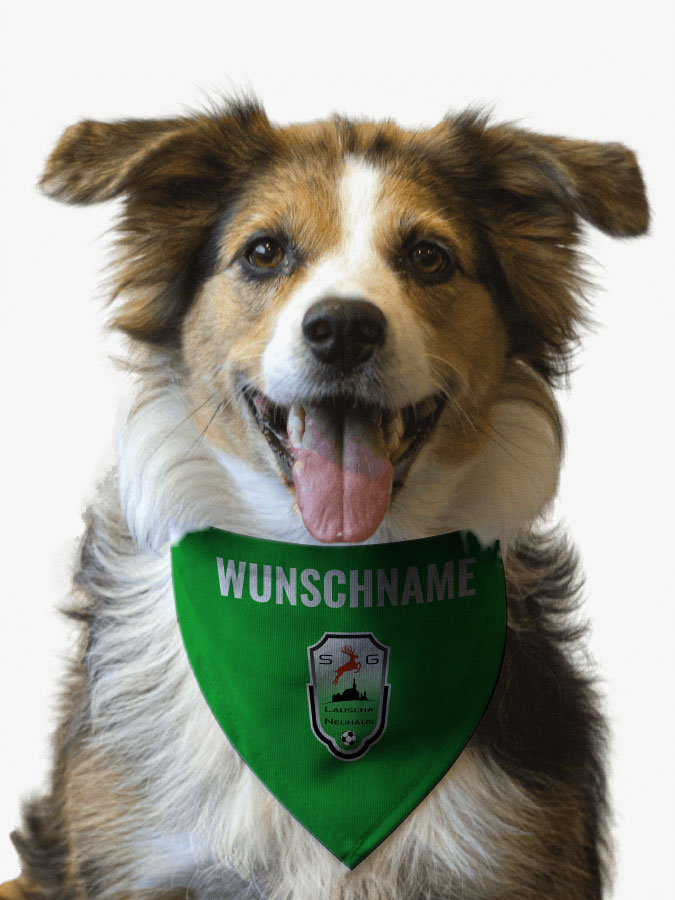 Hundehalstuch