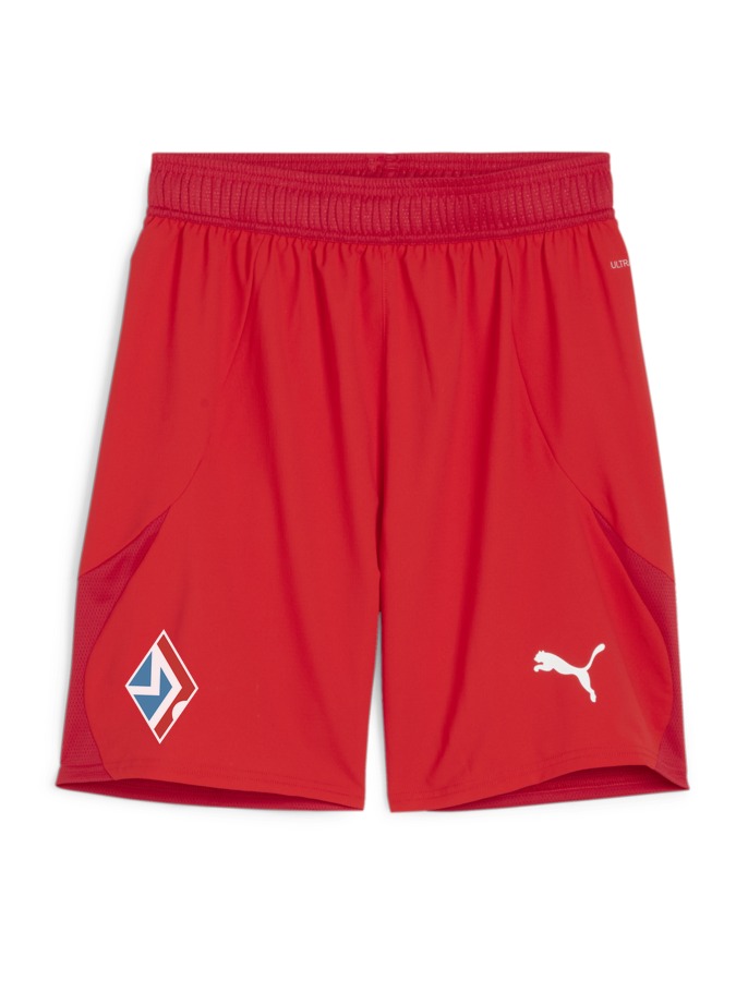 PUMA teamFINAL Shorts