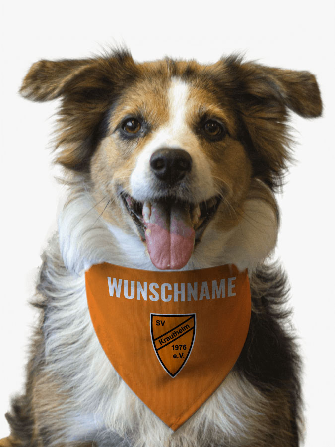 Hundehalstuch
