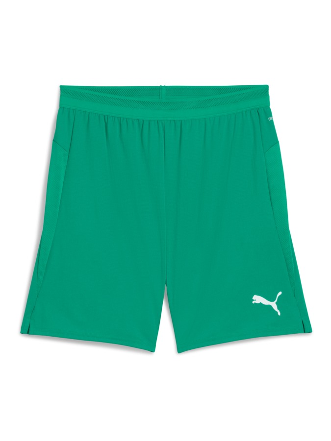 PUMA teamCUP Shorts