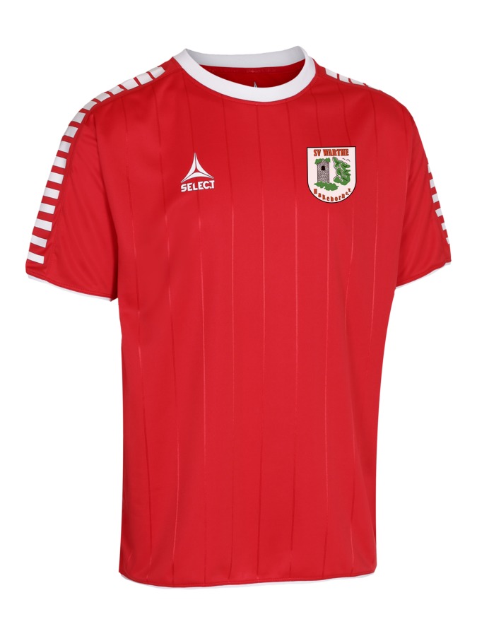 Select Argentina Trikot